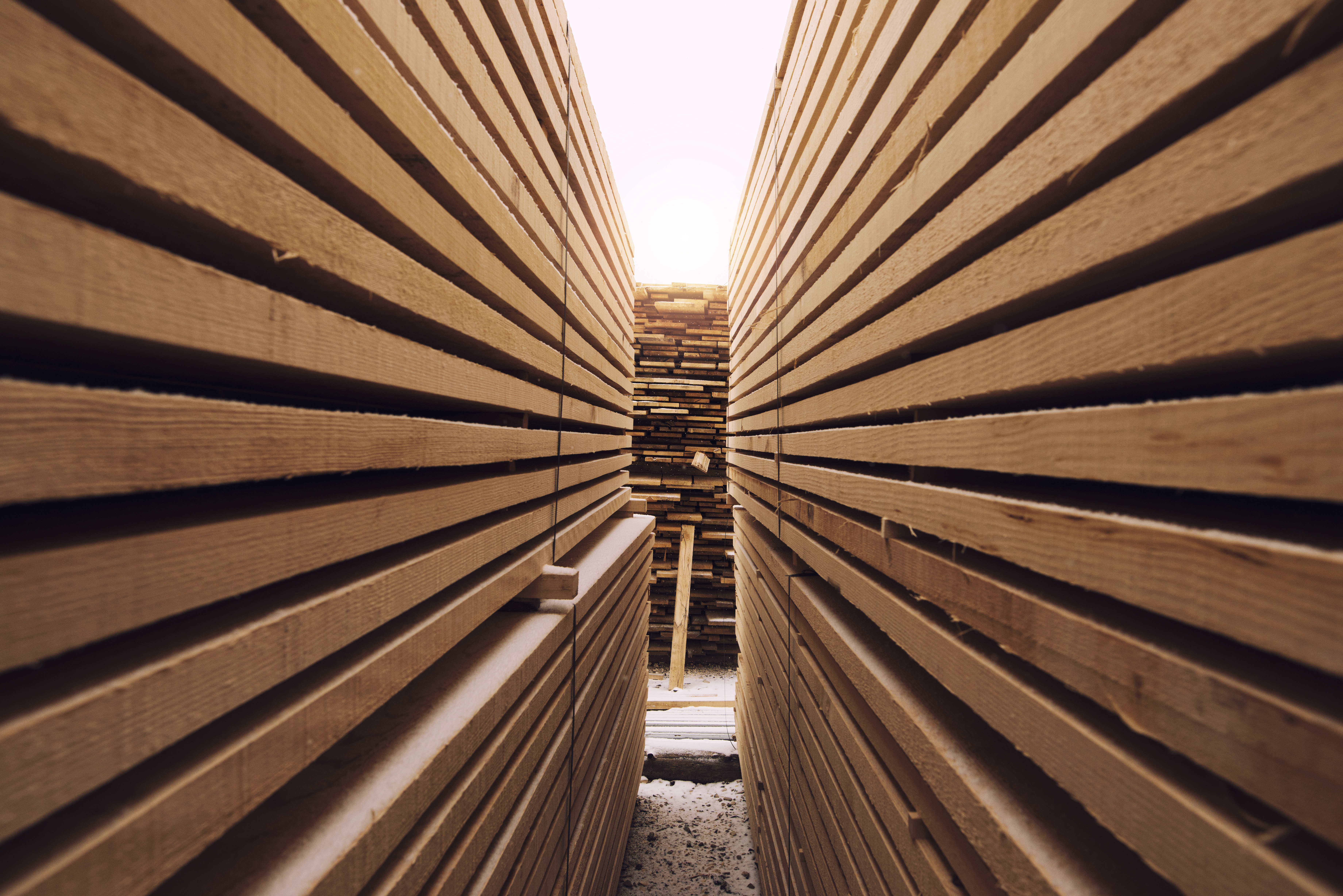 Wood product